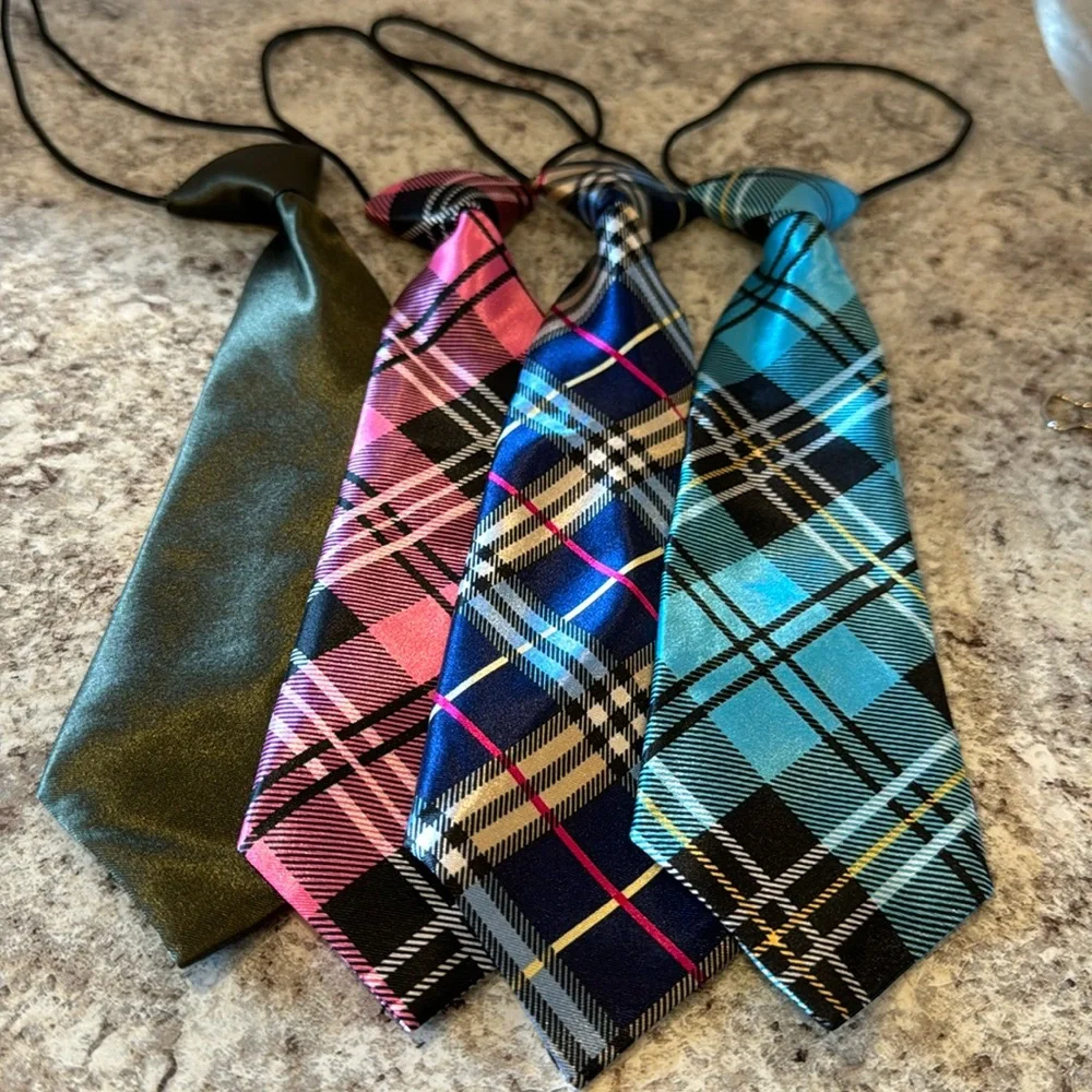 NWOT 10 inch unisex ties set of 4. Attached elastic cord goes under the collar